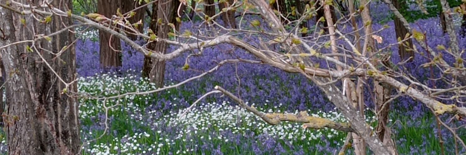 Brigitte Chotel banner