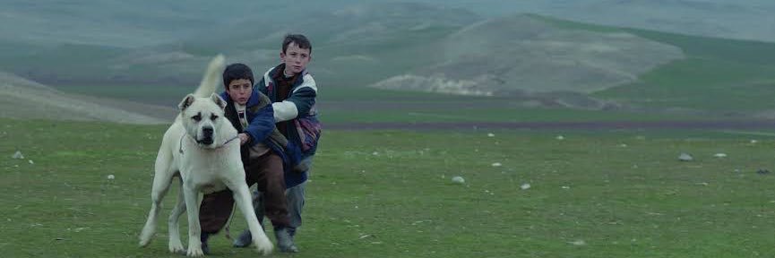 ydenizyd's profile banner image