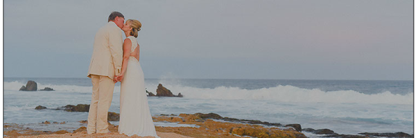 michelewcollier Profile Banner