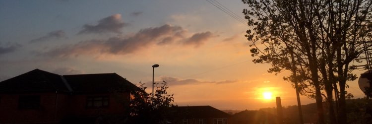 wxrdx_'s profile banner image