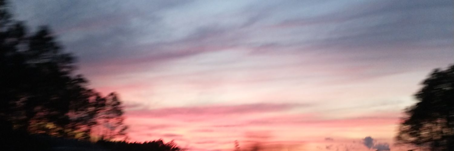 RFEspinal's profile banner image