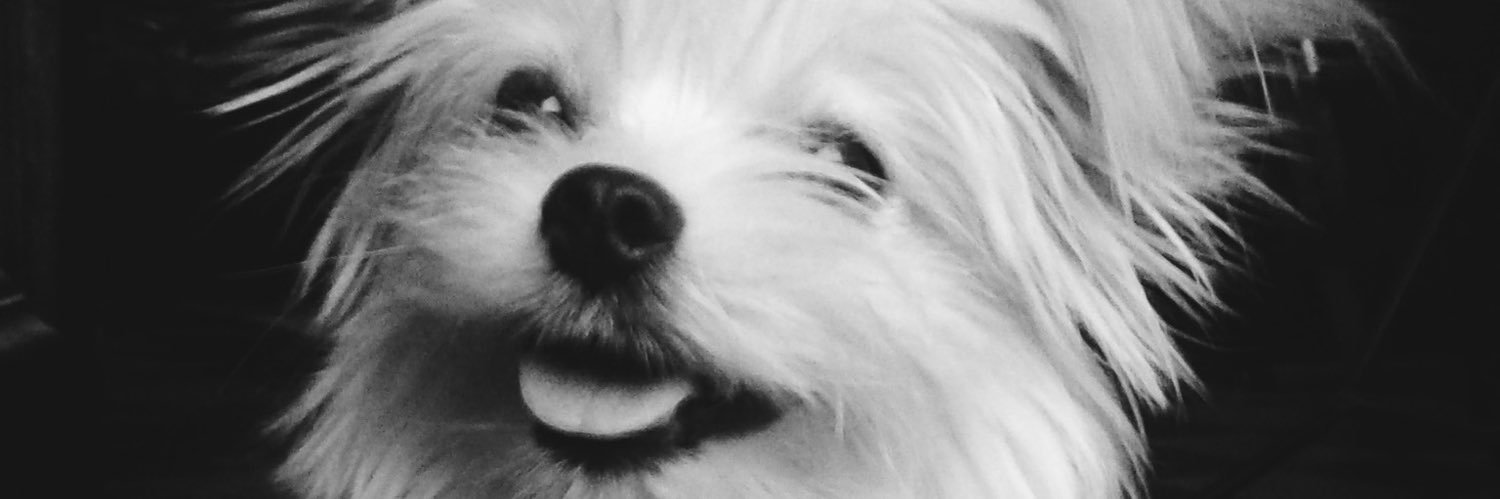 Steffuuue's profile banner image