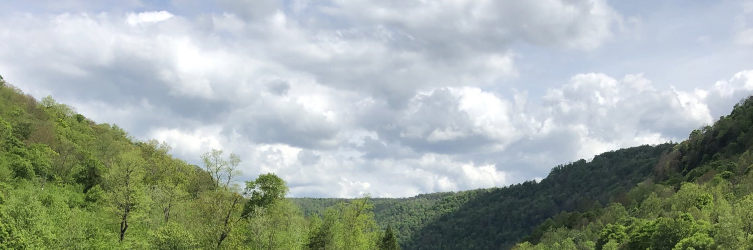 megansmith7790's profile banner image