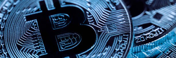 lizeth paola pinta banner