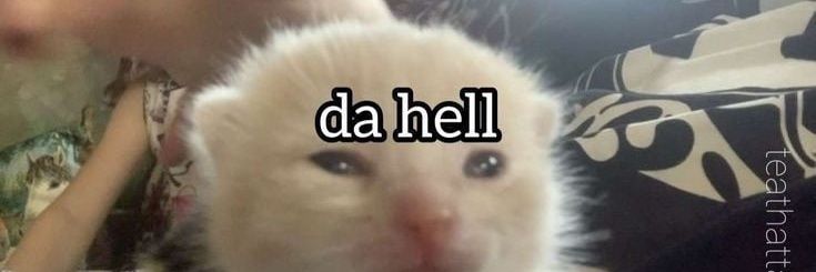 𝕸𝖊𝖗𝖎✧ banner