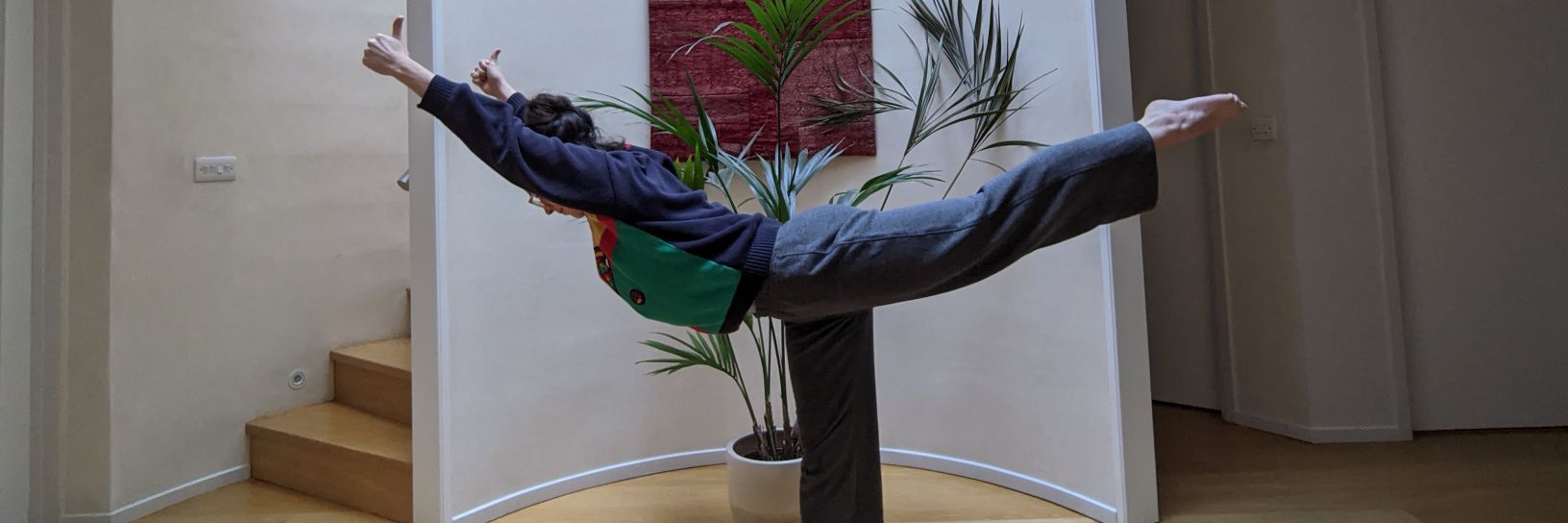 Sally Paffett banner