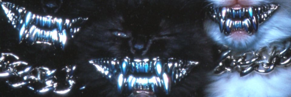 vinnymill's profile banner image