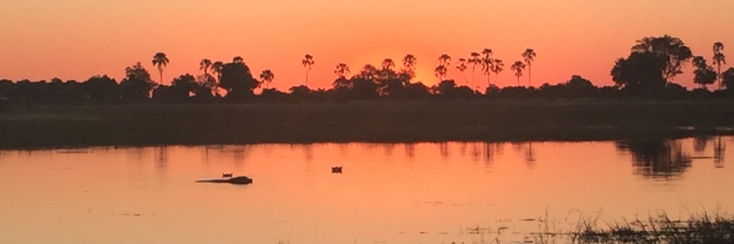 3rd_Otter's profile banner image