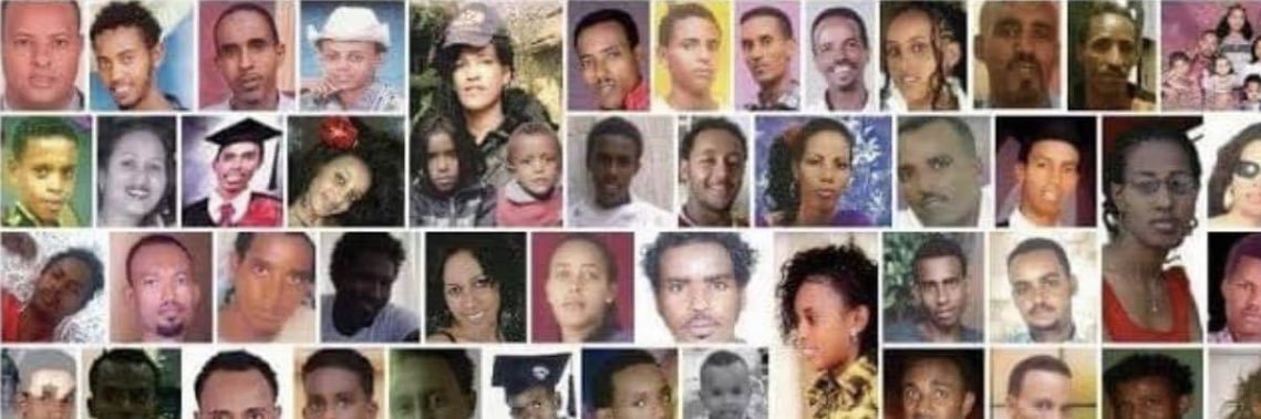 Justice4All Civilians Genocide in Tigray banner