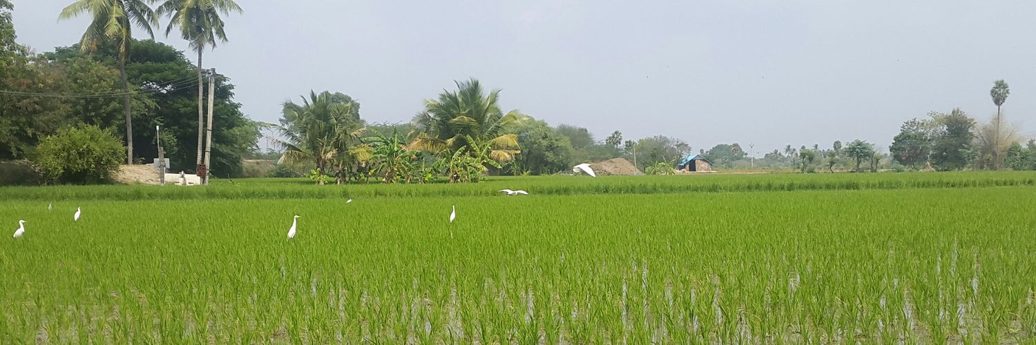 SabariMahendran's profile banner image