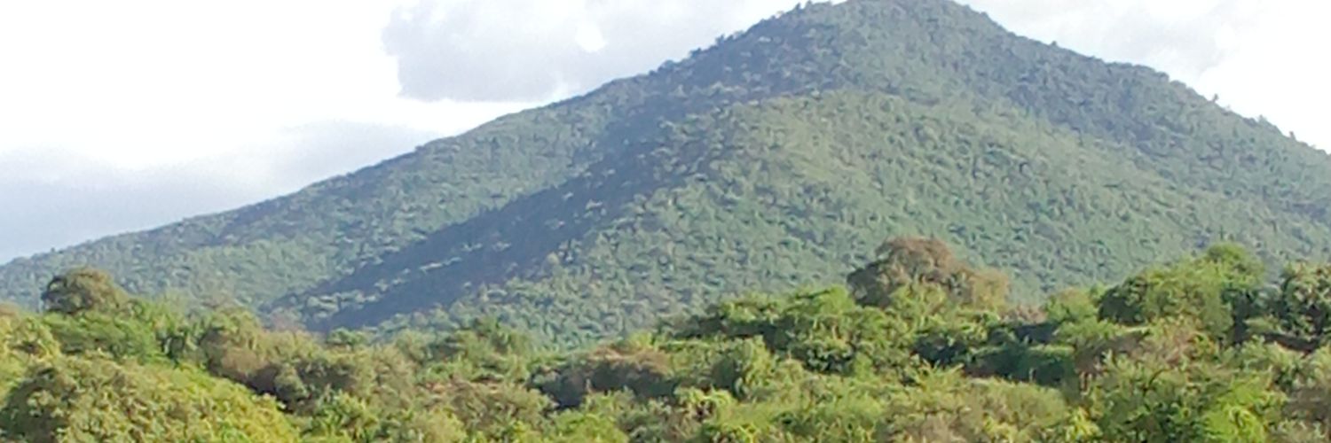 mosesngugi995's profile banner image