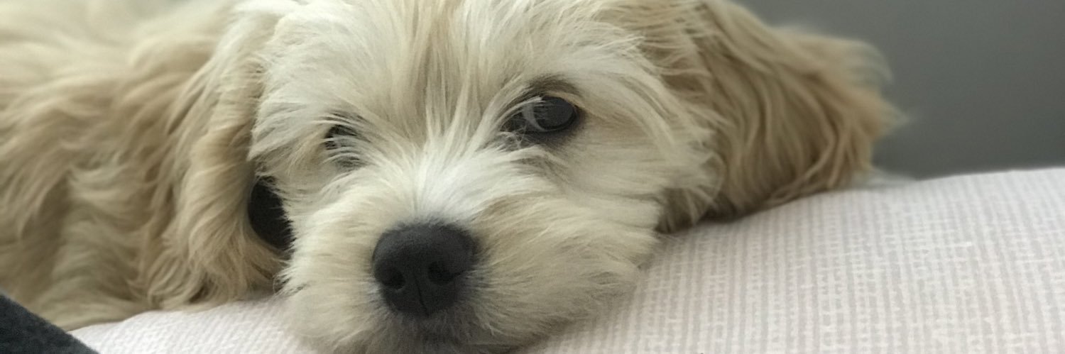 DKsusuzlu's profile banner image