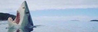 Chwitcho's profile banner image