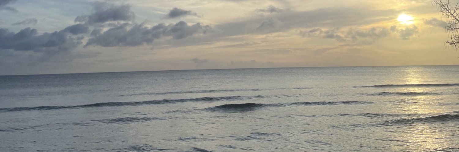 joshandre_'s profile banner image