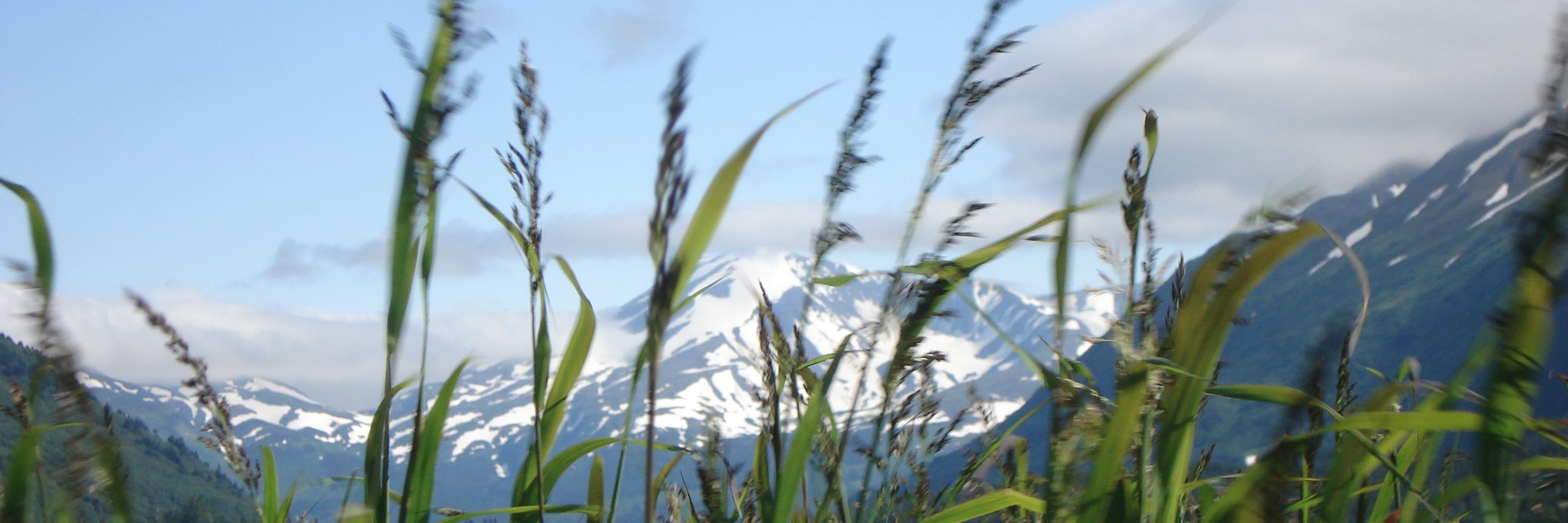TTOutfitter's profile banner image