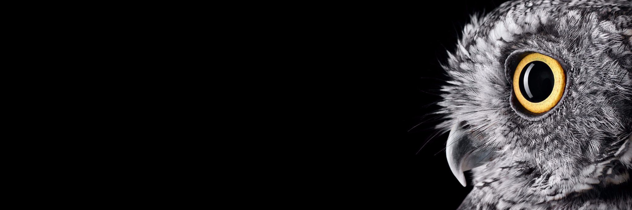 Erbil7's profile banner image