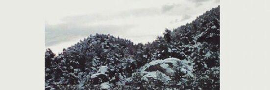 rogervaaz's profile banner image