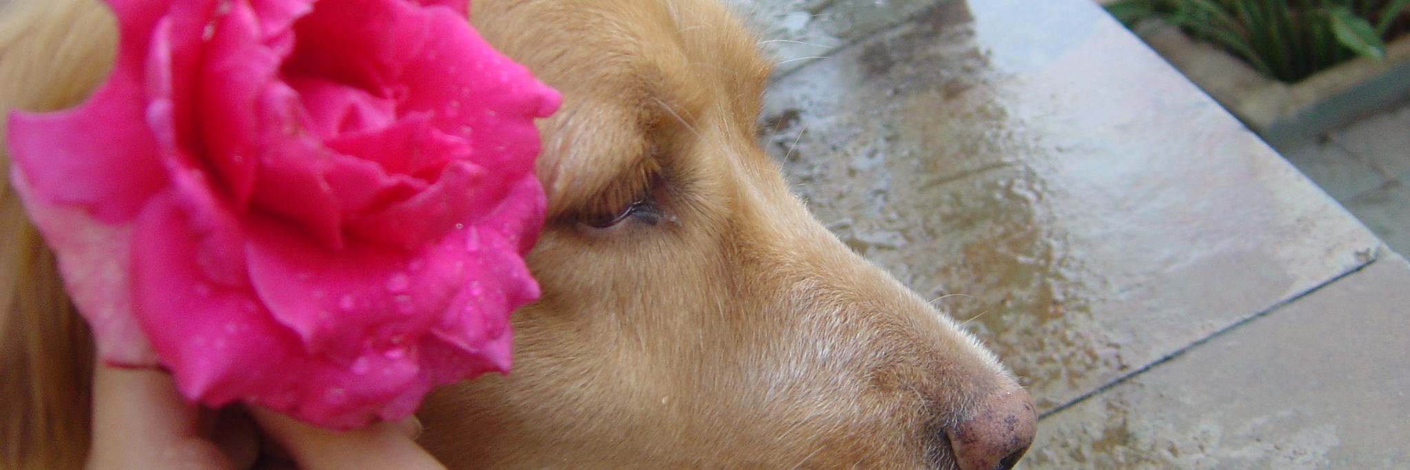 AnnaMorato_'s profile banner image