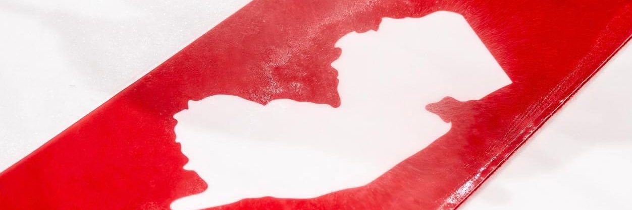 Dr. Romeo McFlurish banner