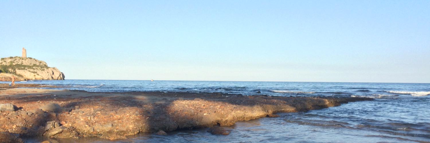 lausin_'s profile banner image