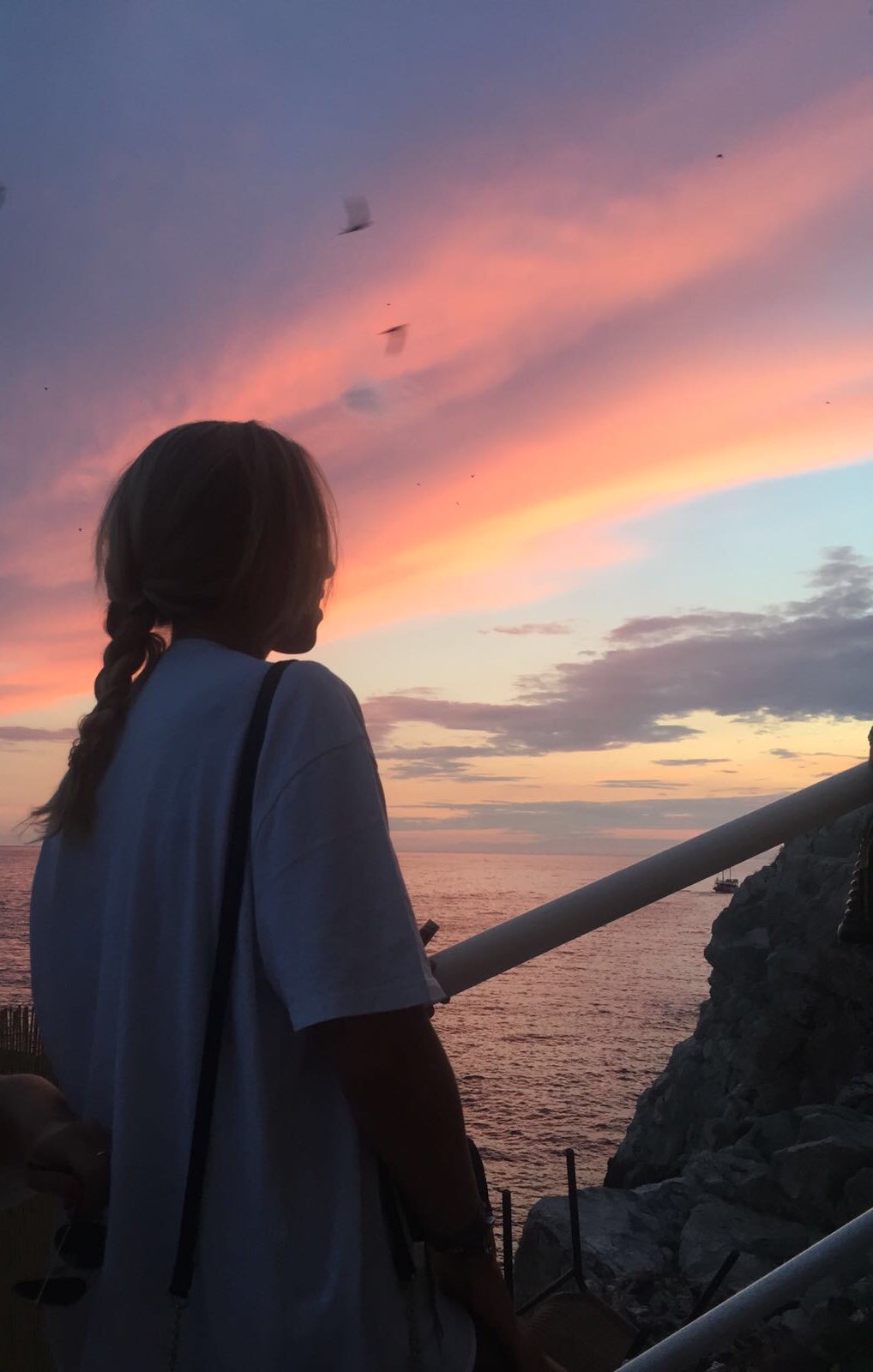lauradelarena's profile banner image