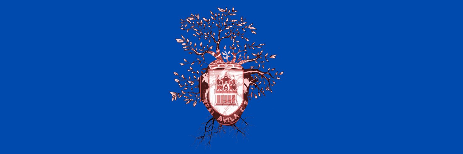 Real Ávila CF eSports banner