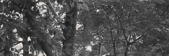 HekmatReza's profile banner image