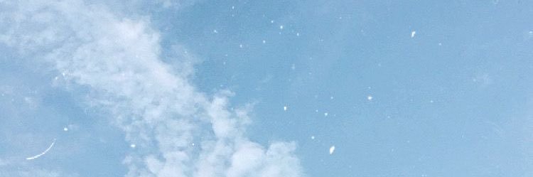 d e n banner