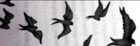 Allison_Parkerr's profile banner image