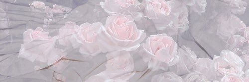 onelifepjm's profile banner image