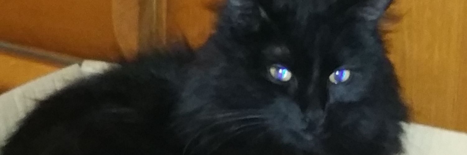 PITNIF's profile banner image