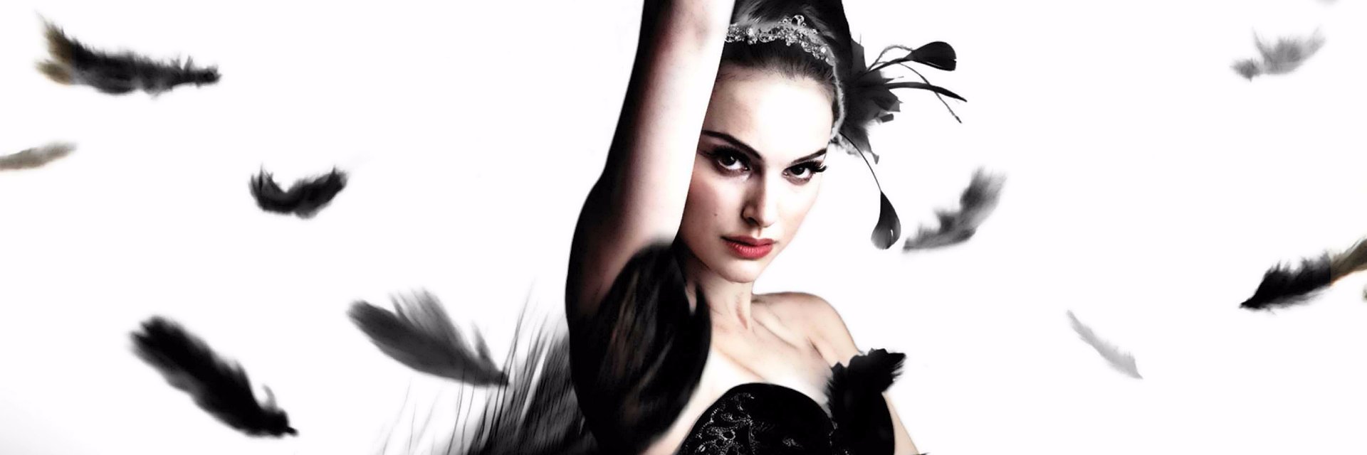 bonaafides's profile banner image