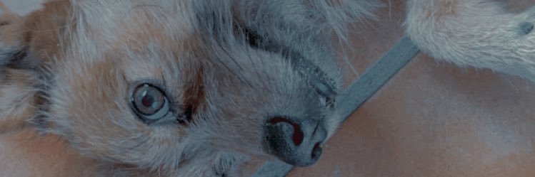 isabelbm02's profile banner image