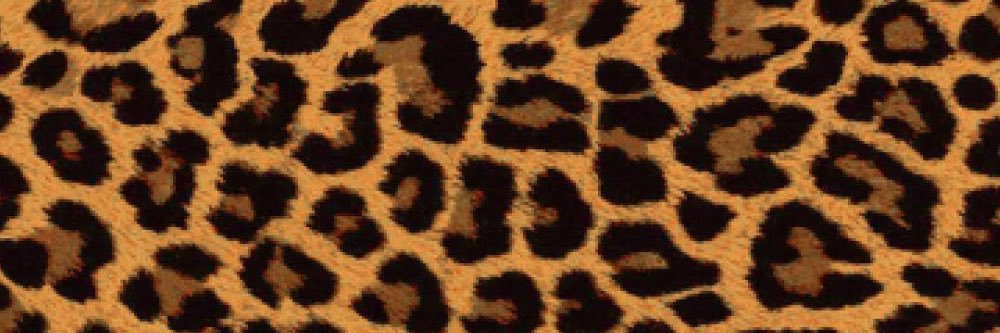 AkwaWings's profile banner image