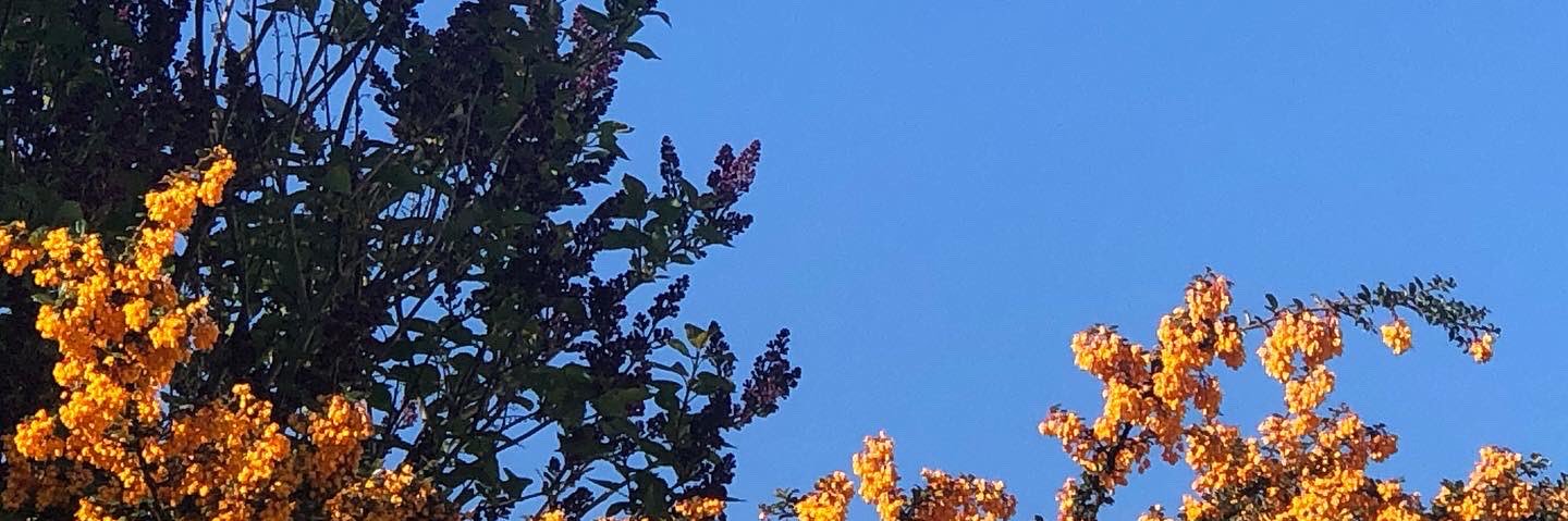 DaisyMay290's profile banner image