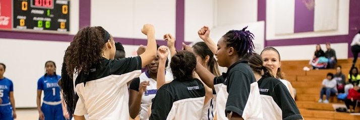 AgnesScottBBall banner