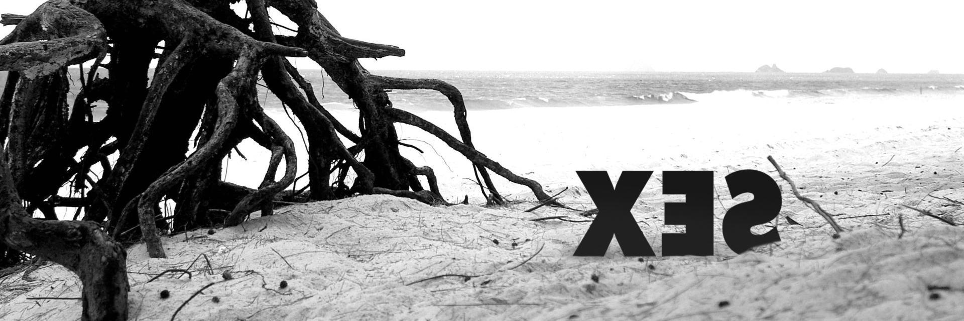 thesexdraft's profile banner image