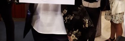 Silvia S Cardarelli banner