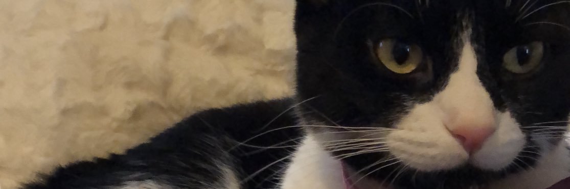 herssshey's profile banner image