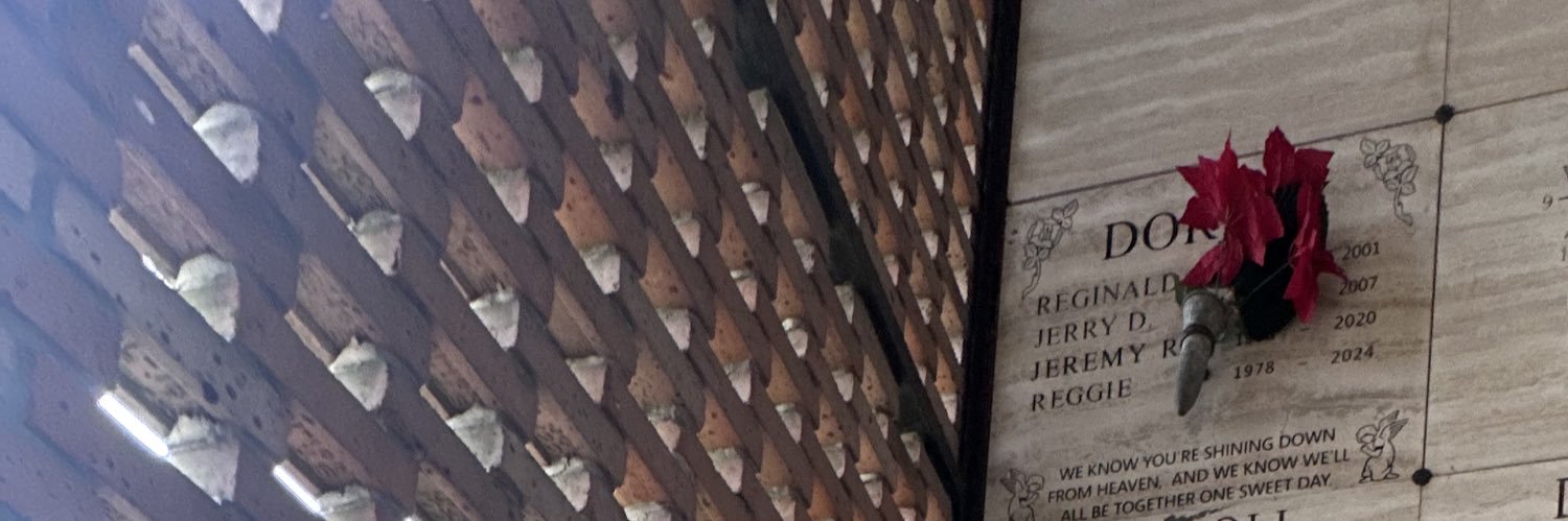 Lahredd6's profile banner image