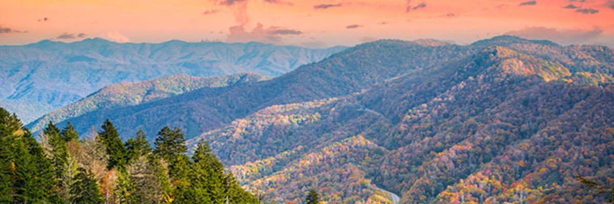 ZSmeltzer's profile banner image