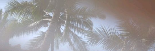La__larva's profile banner image