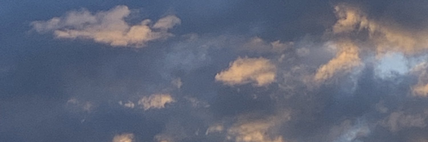 monksbeagle's profile banner image