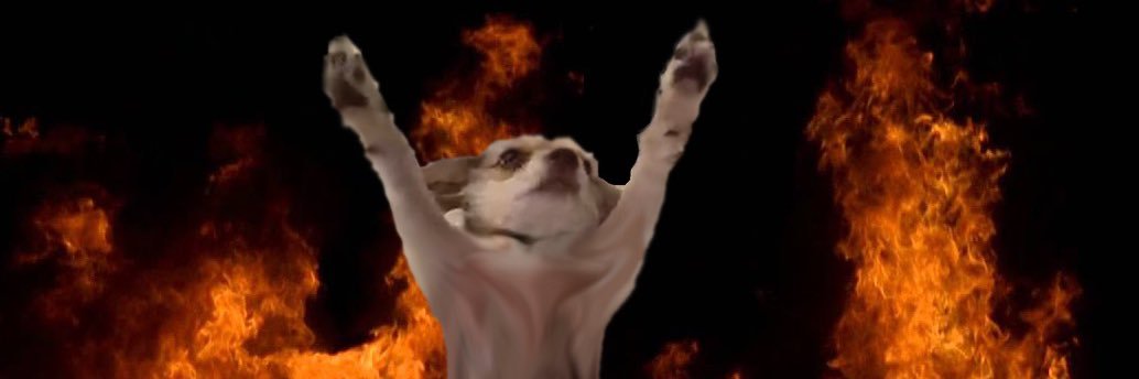 caroline allison judd banner