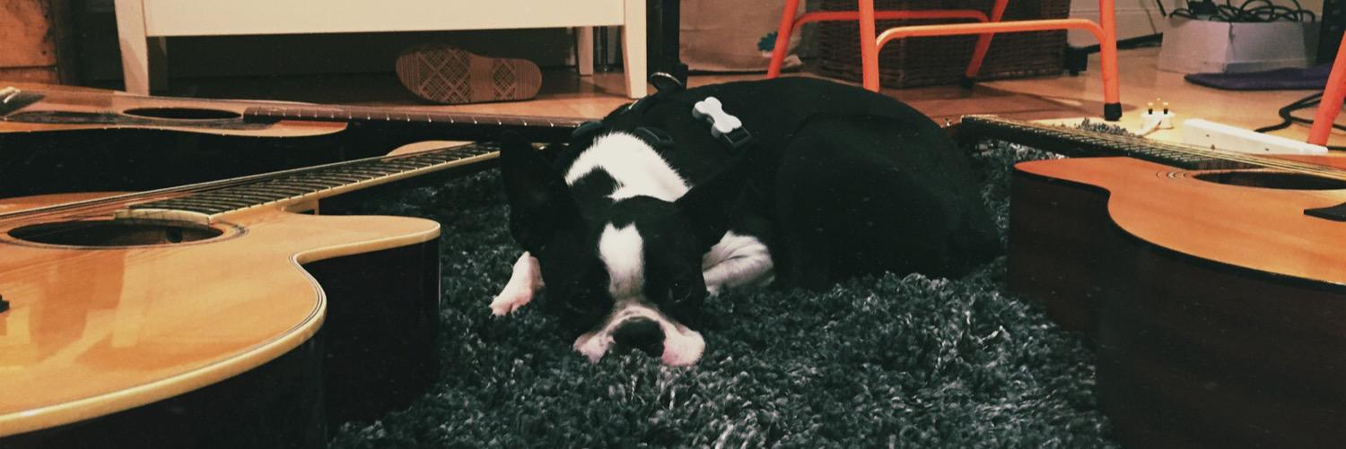 ZippoTheBoston's profile banner image