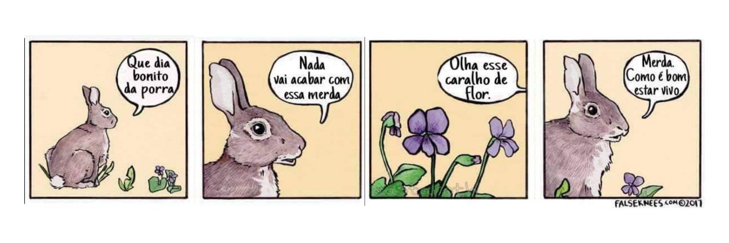 a filha perdida da narcisa banner