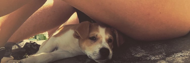 Madddyy_'s profile banner image