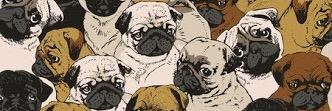 bruunasato's profile banner image