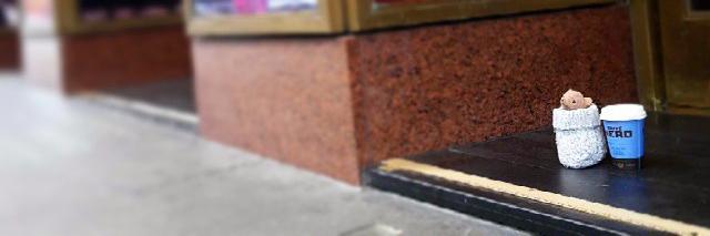 wallace_bear's profile banner image