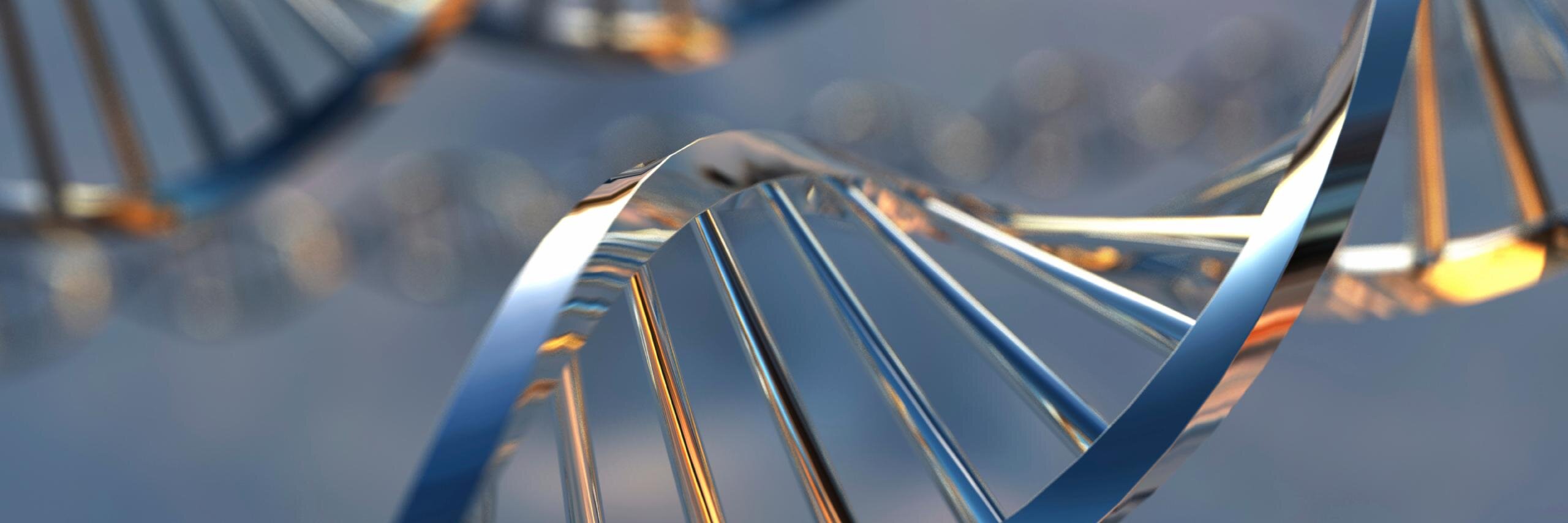 Women@TheFrontier banner